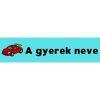 Téglalap alakú öntapadó címke - Autó, névvel